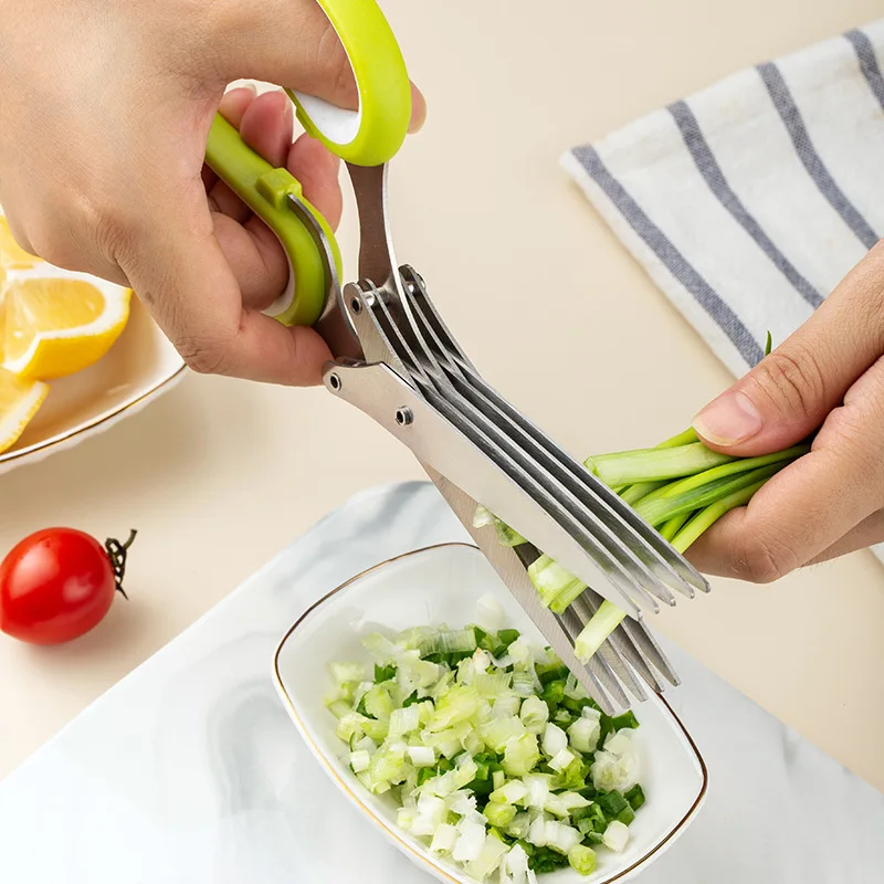 주방 다기능 스테인레스 스틸 3겹/5겹 파 가위 및 해 - Kitchen Gadgets Green 리뷰 및 가격