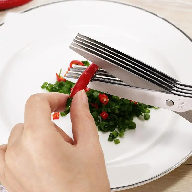 주방 다기능 스테인레스 스틸 3겹/5겹 파 가위 및 해 - Kitchen Gadgets Green 리뷰 및 가격