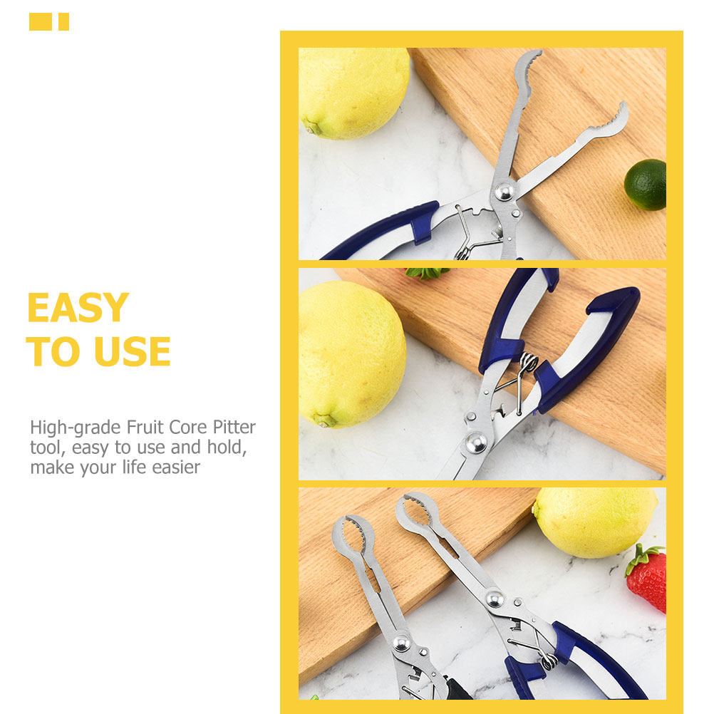 스테인리스 스틸 산사나무 코어 제거기 핸드헬드 가위 실 - Kitchen Gadgets Kitchen 리뷰 및 가격