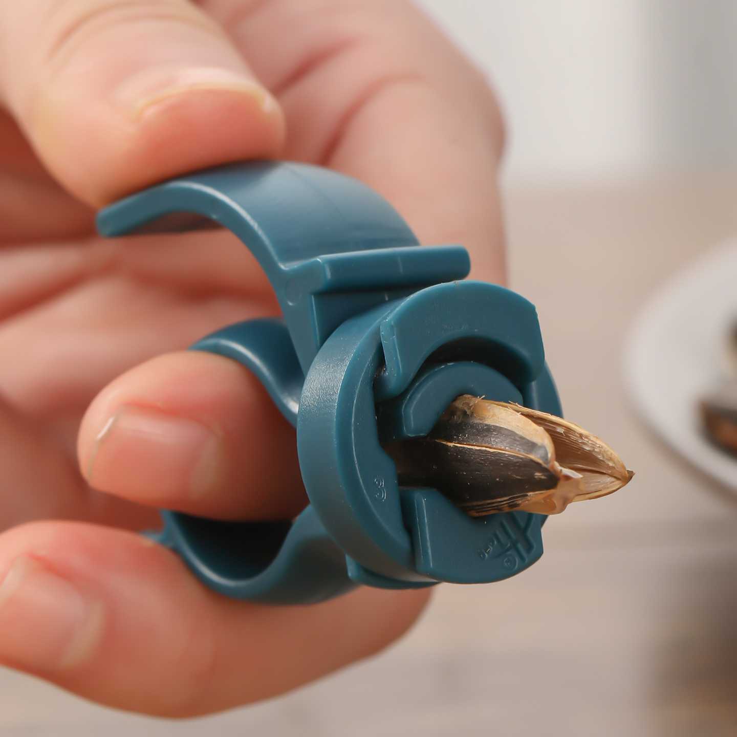 4개입 무작위 색상 창의적이고 간단한 작은 견과류 씨앗 - Kitchen Gadgets You Must Have 리뷰 및 가격